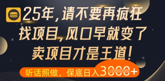 什么？25年你还在疯狂找项目做，醒醒吧，看完这些你全都懂了-老K资源网