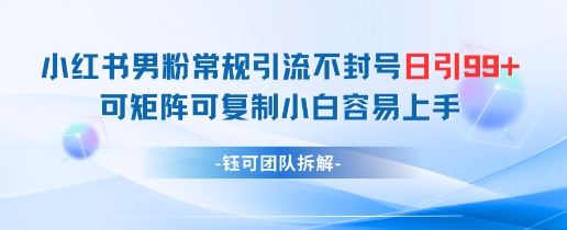 小红书男粉常规引流不封号日引99+变现简单 可矩阵可复制小白容易上手-老K资源网