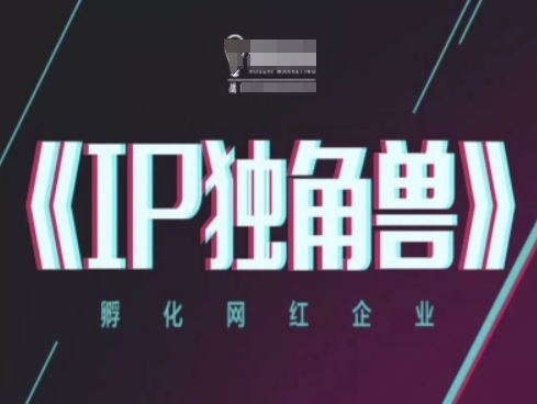 IP独角兽，孵化网红企业，ip教程-老K资源网