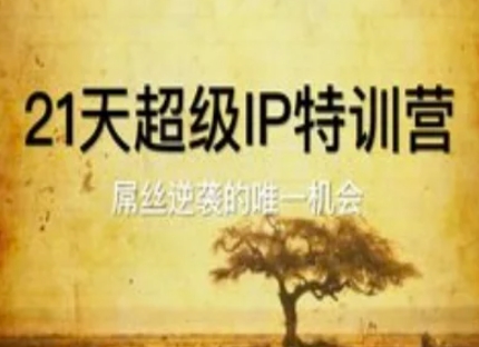 21天超级IP特训营，屌丝逆袭的唯一机会-老K资源网