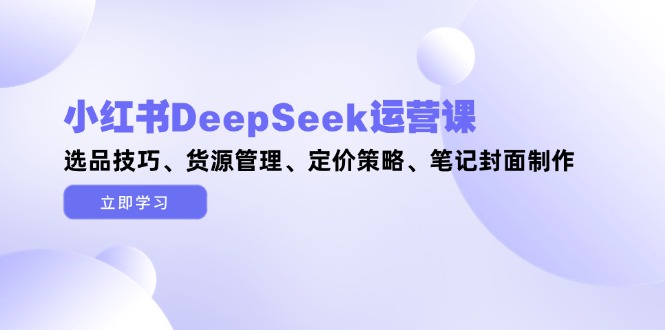 小红书DeepSeek运营课，选品技巧、货源管理、定价策略、笔记封面制作-老K资源网
