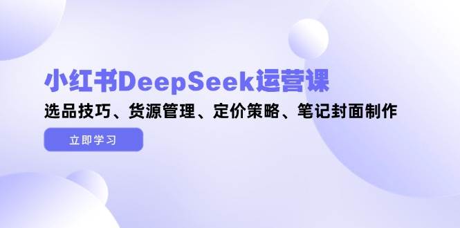 小红书DeepSeek运营课，选品技巧、货源管理、定价策略、笔记封面制作-老K资源网