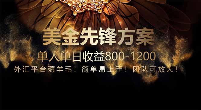 （14761期）免费技术！小众赛道！一年布局抵三年努力，每日800+-老K资源网