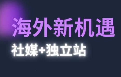 2025出海新机遇(社媒+独立站)，海外新机遇，实现独立站的高效运营与出海-老K资源网