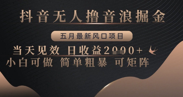 抖音无人撸音浪掘金，五月最新风口项目，当天见效，日收益多张，小白可做简单粗暴可矩阵-老K资源网