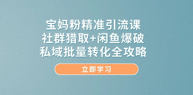 （14820期）宝妈粉精准引流课，社群猎取+闲鱼爆破，私域批量转化全攻略-老K资源网
