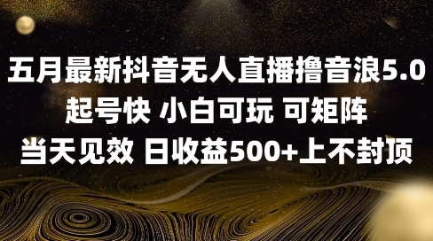 2025五月最新无人直播撸音浪单日产出5张+实操教程-老K资源网
