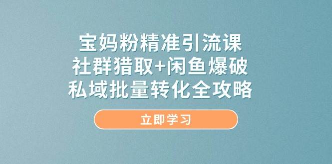 宝妈粉精准引流课，社群猎取+闲鱼爆破，私域批量转化全攻略-老K资源网