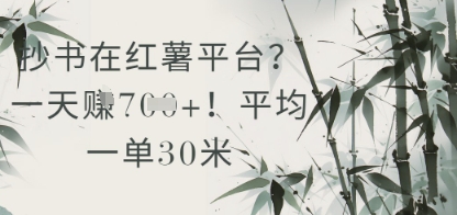 抄书在小红薯平台？平均一单30米，一天收益几张！-老K资源网