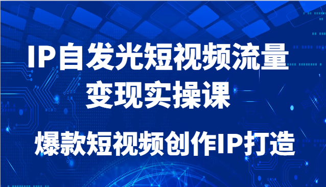 IP自发光短视频流量变现实操课，爆款短视频创作IP打造-老K资源网