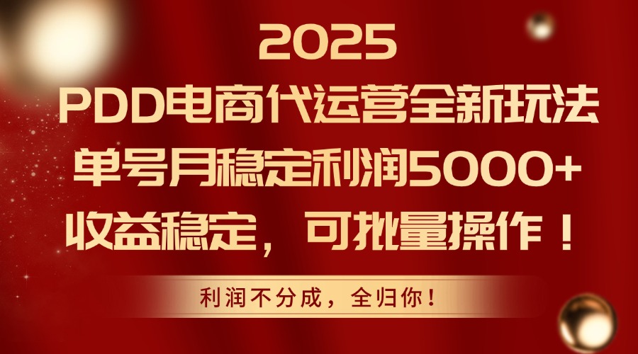 2025PDD电商代运营全新玩法，单号月稳定利润5000+，收益稳定，可批量操作-老K资源网