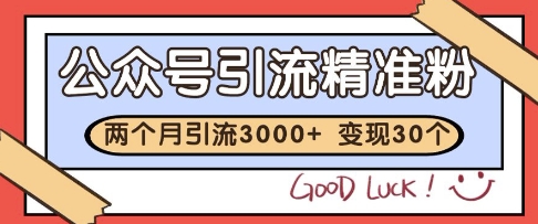 公众号精准粉引流玩法，2个月3000+精准粉，变现30个W-老K资源网