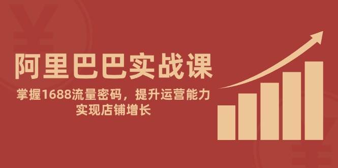 阿里巴巴实战课：掌握1688流量密码，提升运营能力，实现店铺增长-老K资源网