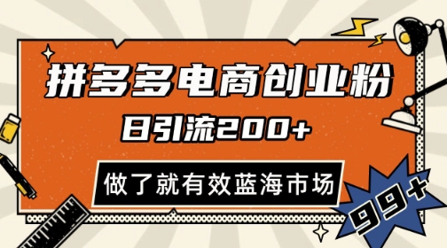 拼多多引流电商创业粉，日引200+，可矩阵放大，做了就有效-老K资源网