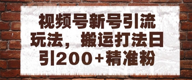 视频号新号引流玩法，搬运打法日引200+精准粉，可矩阵放大-老K资源网