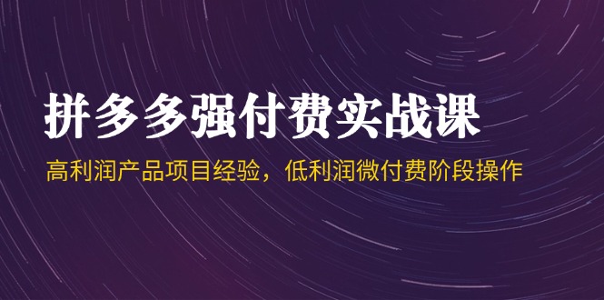 （14874期）拼多多强付费实战课-44期，高利润产品项目经验，低利润微付费阶段操作-老K资源网