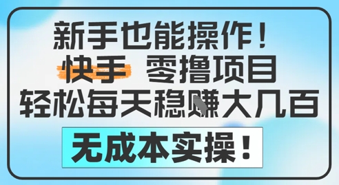 新手也能操作，快手零撸挣米，轻松每天挣2-5张，完全无成本-老K资源网