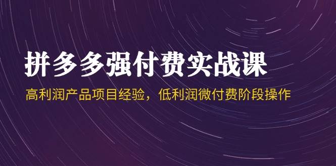 拼多多强付费实战课-44期，高利润产品项目经验，低利润微付费阶段操作-老K资源网