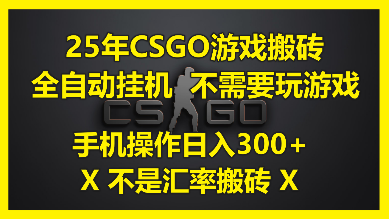 （14902期）25年CSGO游戏搬砖，全自动挂机，不需要玩游戏，手机操作日入300+。(不…-老K资源网