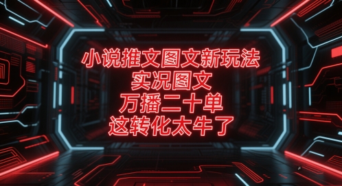 小说推文图文新玩法，实况图文，万播二十单，这转化太牛了！-老K资源网