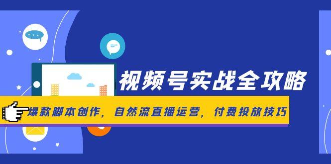 （14925期）视频号实战全攻略，爆款脚本创作，自然流直播运营，付费投放技巧-老K资源网