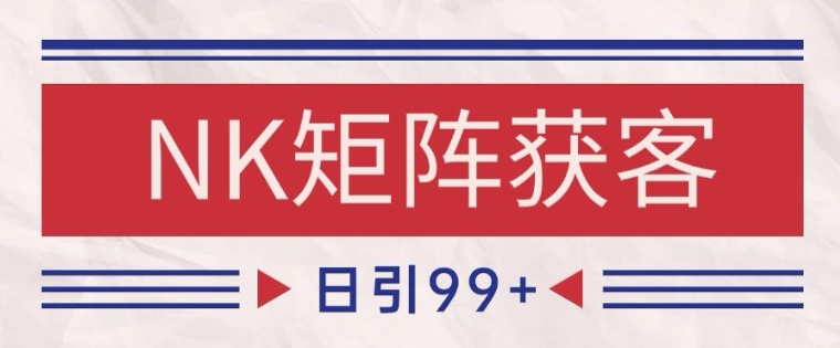 小红书某音NK赛道引流获客 自热矩阵日引200+-老K资源网