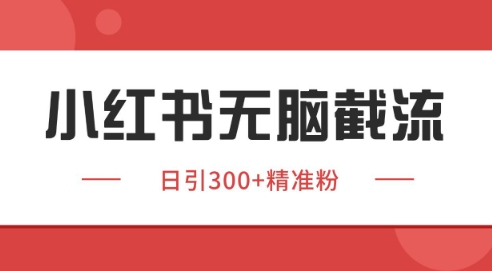 小红书截流同行客源，独家野路子获客玩法 日引200+暴力获客-老K资源网