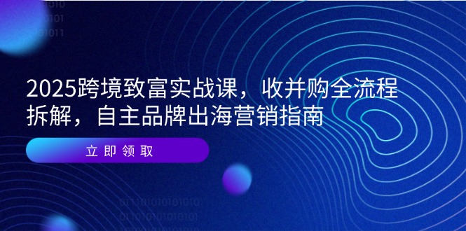 （14975期）2025跨境致富实战课，收并购全流程拆解，自主品牌出海营销指南-老K资源网