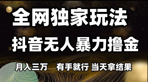 全网独家玩法抖音无人暴力撸金，月入3W，有手就行，当天拿结果-老K资源网