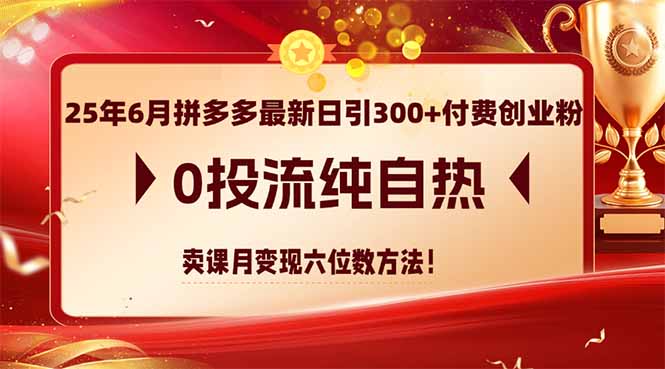 （14989期）25年6月拼多多最新日引300+付费创业粉，0投流纯自热 卖课月变现六位数方法-老K资源网