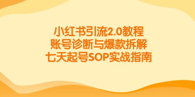 （14981期）小红书引流2.0教程，账号诊断与爆款拆解，七天起号SOP实战指南-老K资源网
