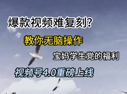 视频号4.0重磅上线，爆款视频难复刻？教你无脑操作宝妈学生党的福利-老K资源网