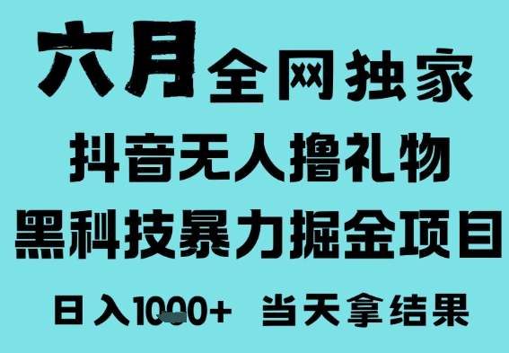 25年6月高爆抖音无人直播最新撸音浪掘金项目，门槛低小白可做，无脑日入1k，可矩阵放大-老K资源网