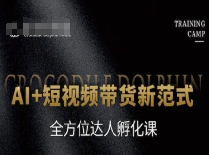 AI+短视频带货新范式，全方位达人孵化课-老K资源网