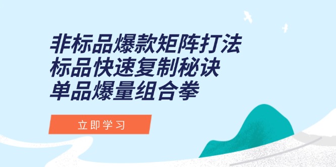 非标品爆款矩阵打法，标品快速复制秘诀，单品爆量组合拳-老K资源网