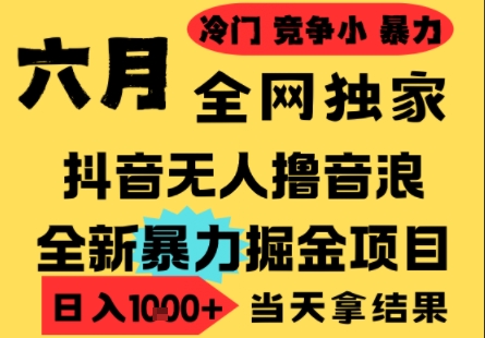 25年6月高爆抖音无人直播最新撸音浪掘金项目，小白可做，无脑日入1k+，门槛低可批量矩阵-老K资源网