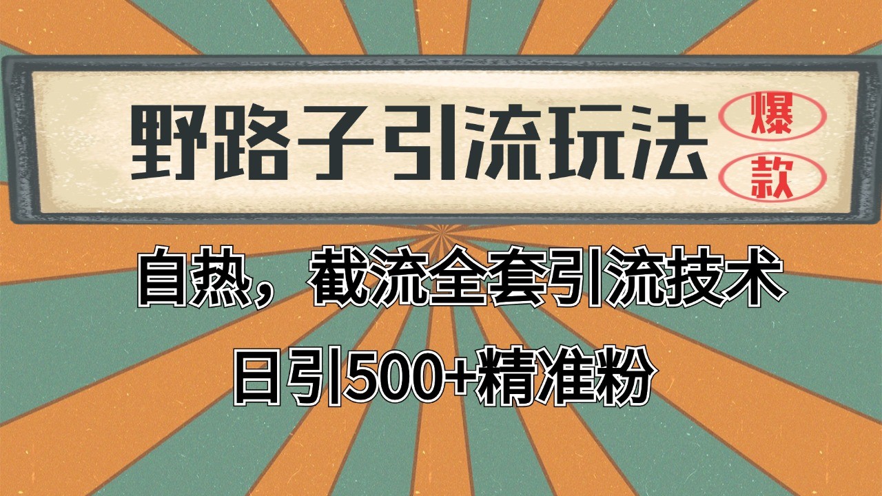 2024首发野路子引流玩法截流自热全平台打法，全自动引流【日引2000+精准客户】-老K资源网
