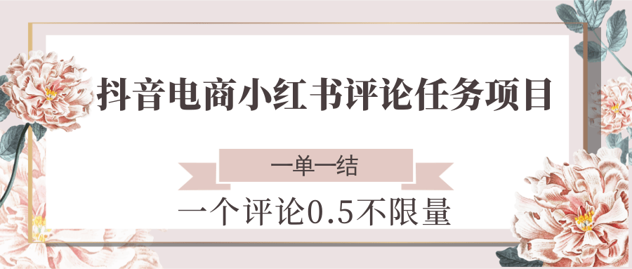 抖音电商小红书评论任务项目，一个评论0.5，一单一结 不限量-老K资源网