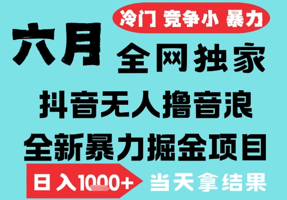 2025年6月高爆抖音无人直播最新撸音浪掘金项目，无脑日入1k+，低门槛小白可做，可矩阵放大-老K资源网