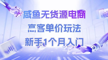 咸鱼无货源电商，高客单价玩法，新手1个月入门-老K资源网