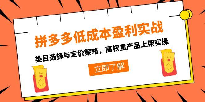 （15143期）拼多多低成本盈利实战，类目选择与定价策略，高权重产品上架实操-老K资源网