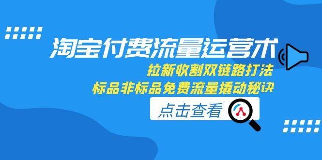 （15135期）淘宝付费流量运营术，拉新收割双链路打法，标品非标品免费流量撬动秘诀-老K资源网