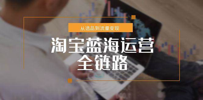 淘宝蓝海运营全链路，从选品到流量变现，小类目突围完整方案-老K资源网