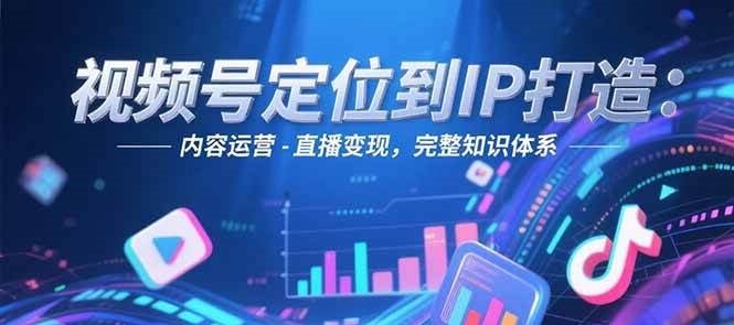 视频号定位到IP打造：账号搭建-内容运营-直播变现，完整知识体系-老K资源网