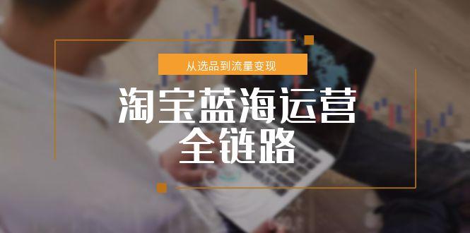 （15160期）淘宝蓝海运营全链路，从选品到流量变现，小类目突围完整方案-老K资源网