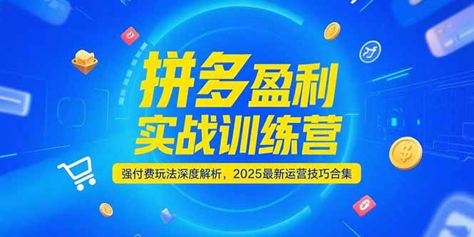 拼多多盈利实战训练营，强付费玩法深度解析，2025最新运营技巧合集-老K资源网
