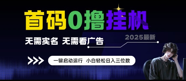 首码0撸挂G项目，无需实名无需看广告 一键启动运行，小白轻松日入三位数-老K资源网