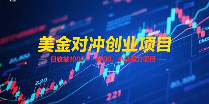 美金对冲创业项目，日收益 1000 – 4000，小众暴力项目-老K资源网
