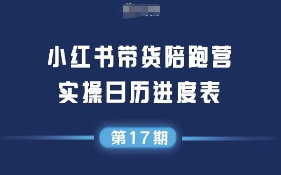 小红书第17期带货陪跑营，不囤货，无不直播，无不投流，通过选品+笔记内容+测品+笔记铺量+矩阵运营打爆款-老K资源网