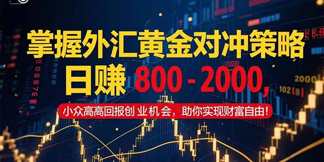（15198期）掌握外汇黄金对冲策略，日赚 800 – 2000，小众高回报创业机会，助你实…-老K资源网